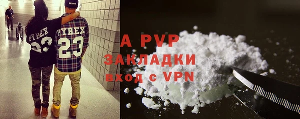 ПСИЛОЦИБИНОВЫЕ ГРИБЫ Белокуриха