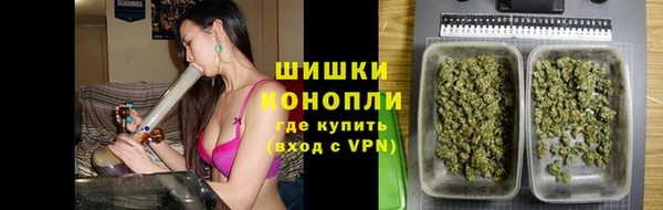 ПСИЛОЦИБИНОВЫЕ ГРИБЫ Белокуриха
