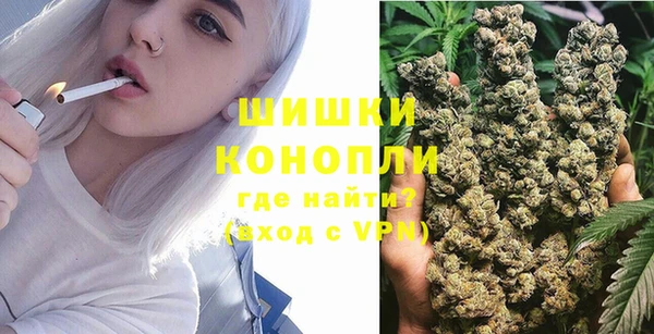 ПСИЛОЦИБИНОВЫЕ ГРИБЫ Белокуриха