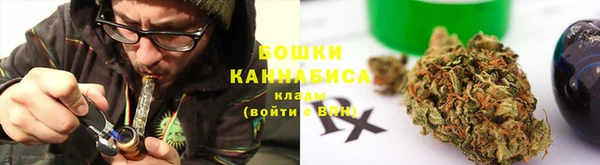 прущие крисы Гусев
