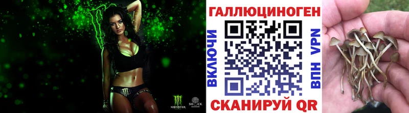 купить закладку  Новая Ляля  Псилоцибиновые грибы Magic Shrooms 